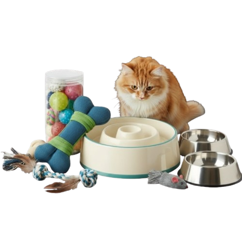 gemini 2.5 flash image is tarha ki iamge buna kar du sam bs is ma cat ya dog add kar du 0 removebg preview