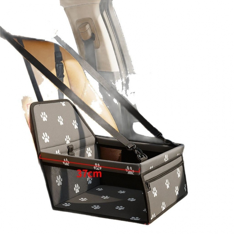 2c40b9d9 a308 43cb b9ad 0d4fab98d172 trans.jpeg