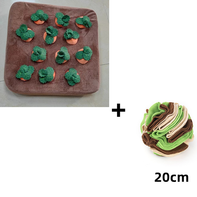 31efee81 0269 4e52 8235 17906d78275a.jpg