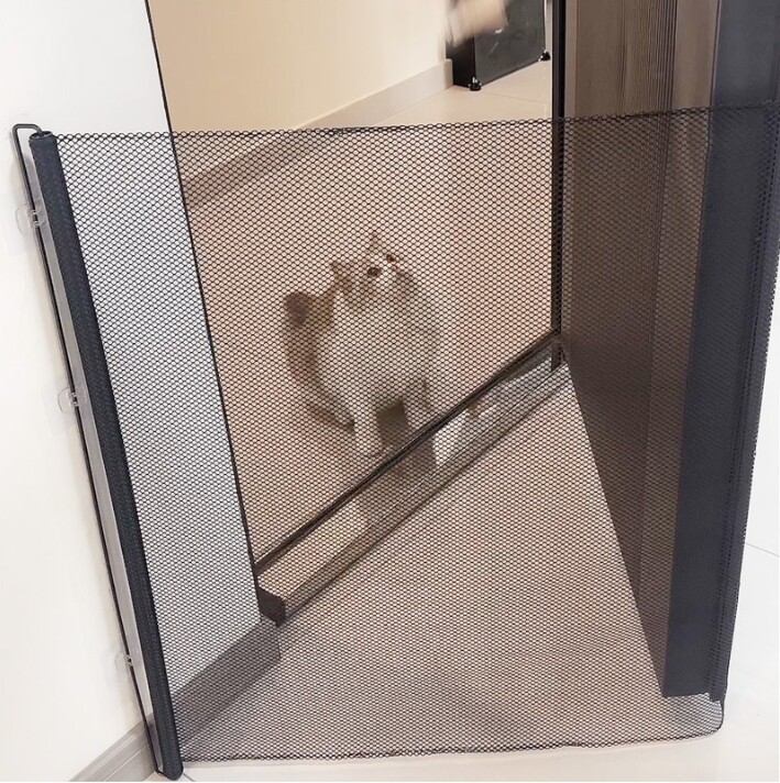 3ec645b7 6a76 4edd a707 60ff03620bb7.jpg