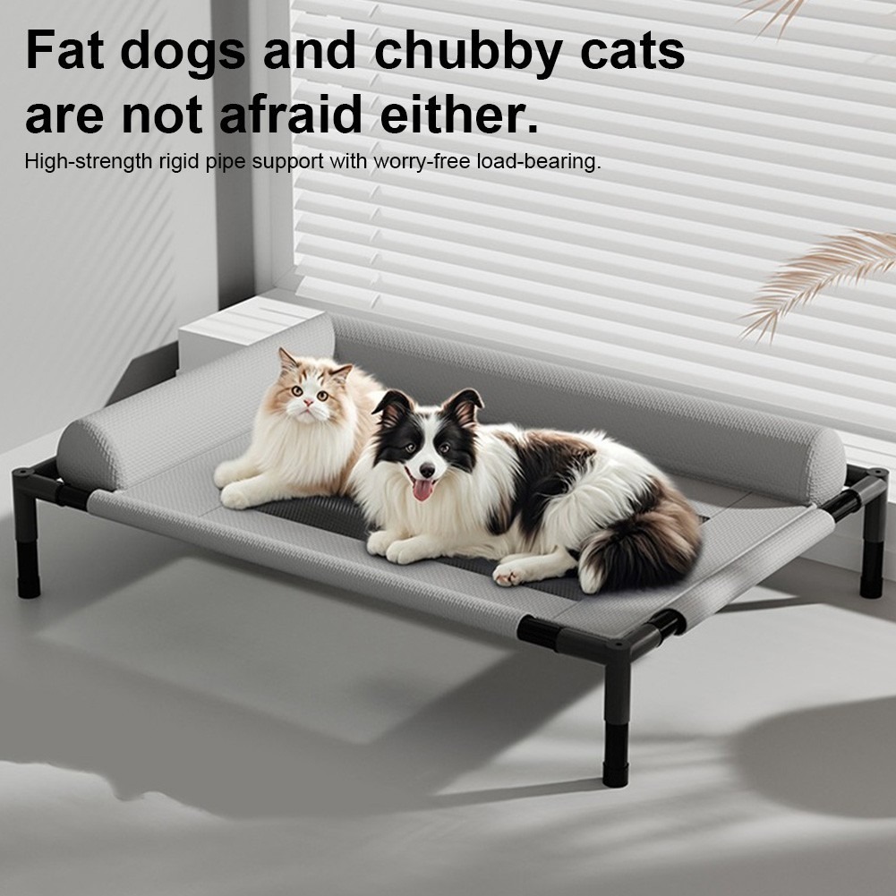 5b211074 f9d9 4271 9082 ab46429ccbee.jpg