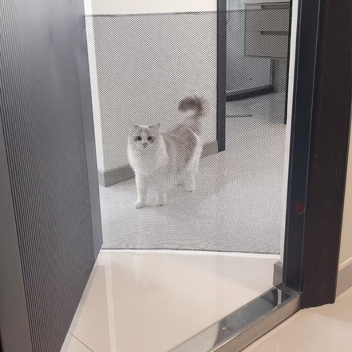 82652e83 3acb 4e70 953d dfdb894dc5b7.jpg