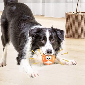 90abcee3 2998 4eec 81ba 856ccaf7bc38.jpg