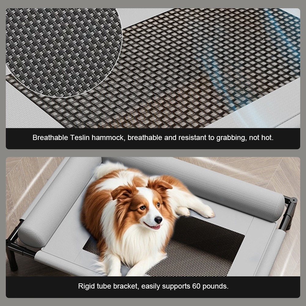 bc87e14b 360b 4007 9d24 be80c95e98ef.jpg